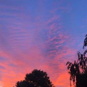 Meet your Posher, Chelsea